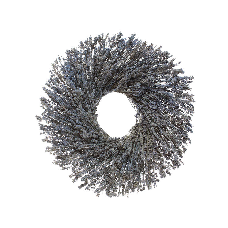 16" English Lavender Wreath
