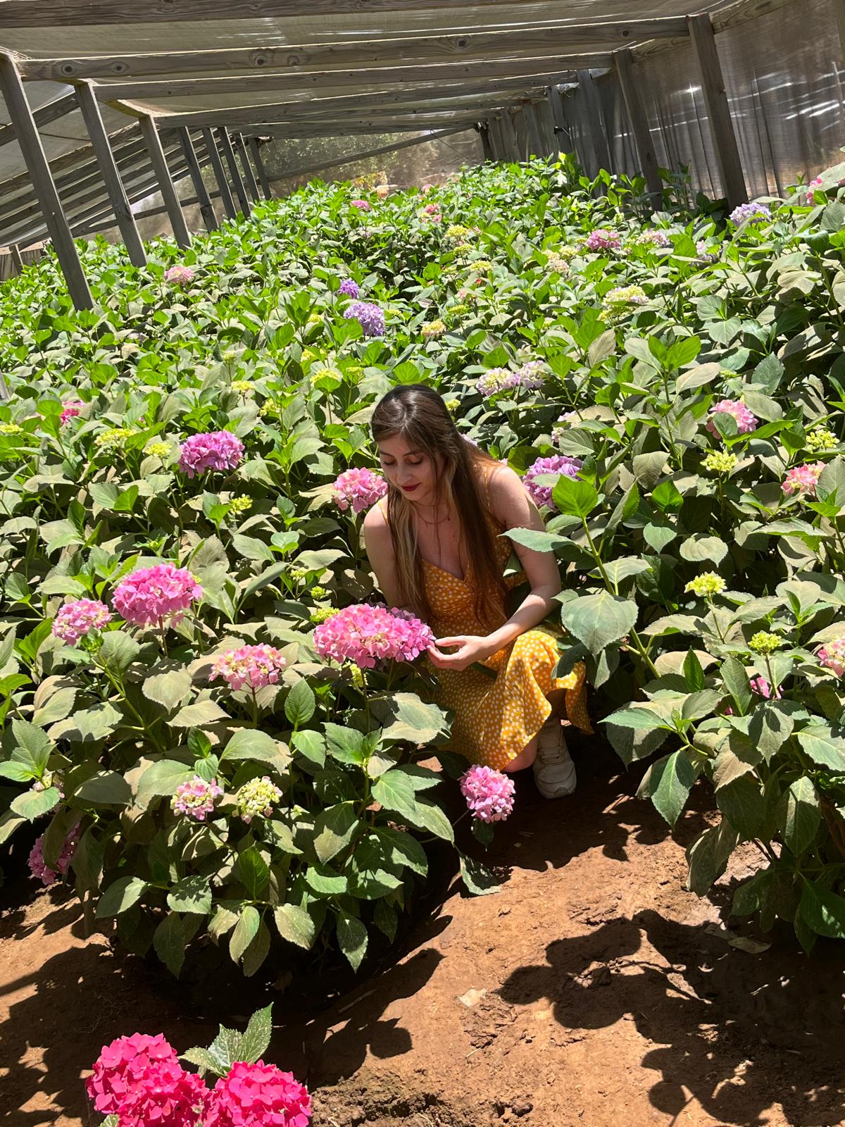 21" Wild Meadow Wreath - Floral Treasure229058 - R