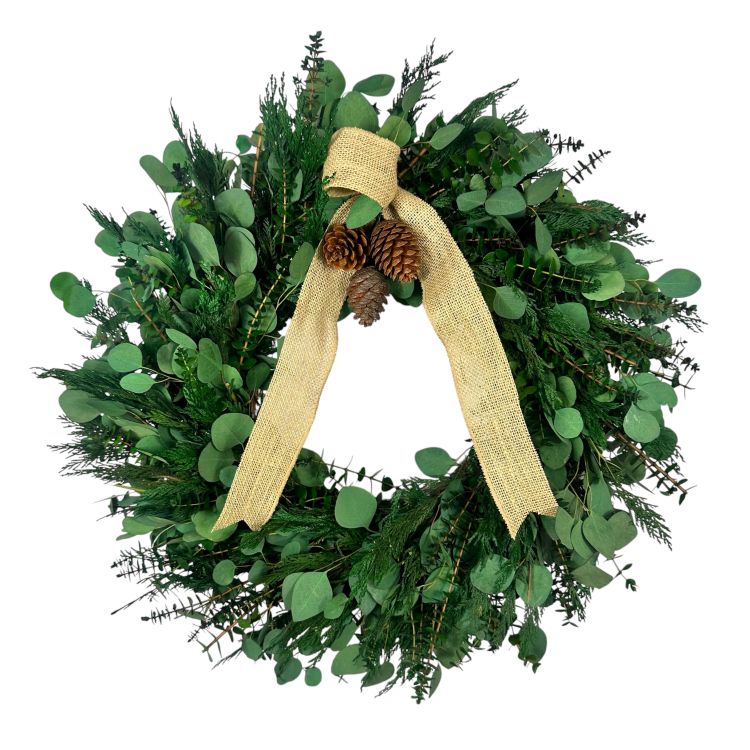 22" Cedar and Silver Dollar Preserved Wreath