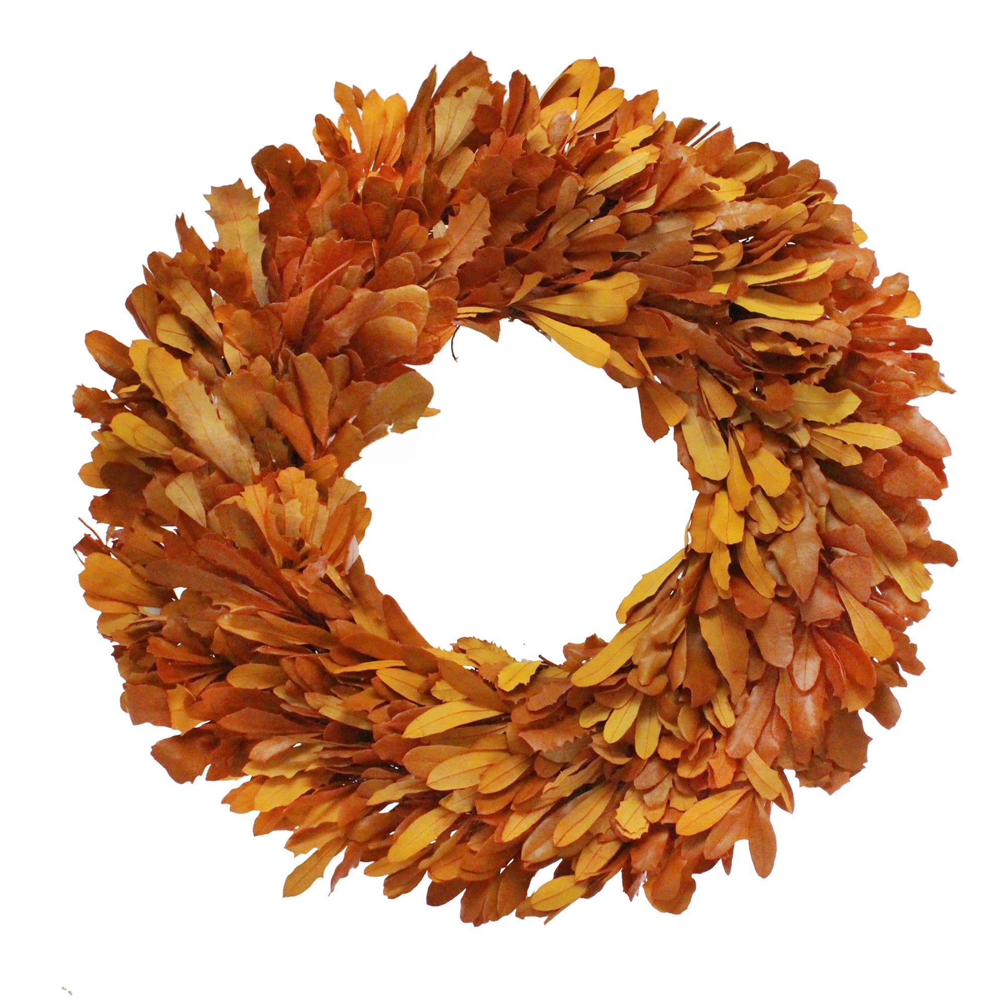 22" Monarch Orange Integrifolia Wreath - Floral Treasure224181 - R