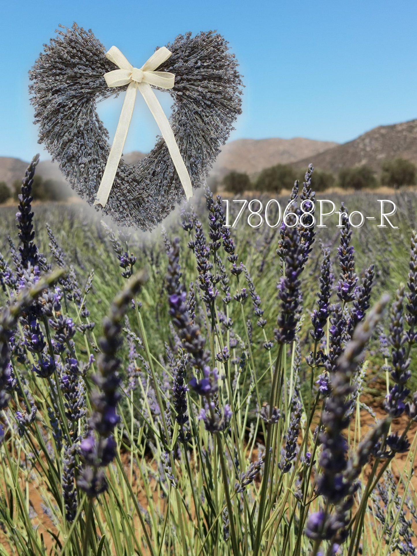 16" English Lavender Heart
